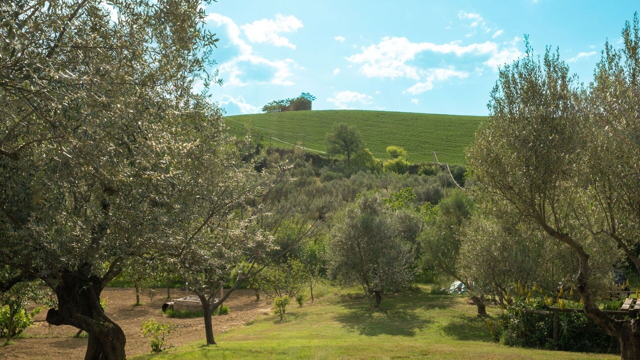 Photo of Outdoor in Collecorvino