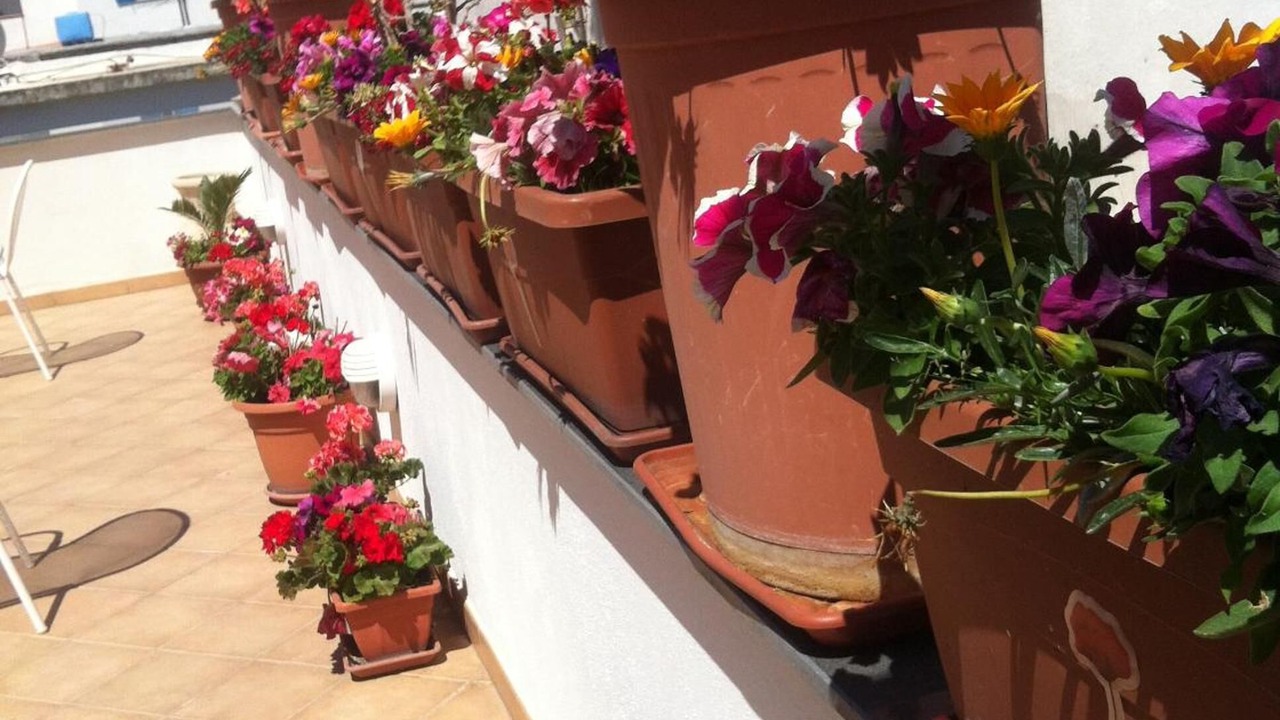 Photo of Patio Balcony in Lacco Ameno