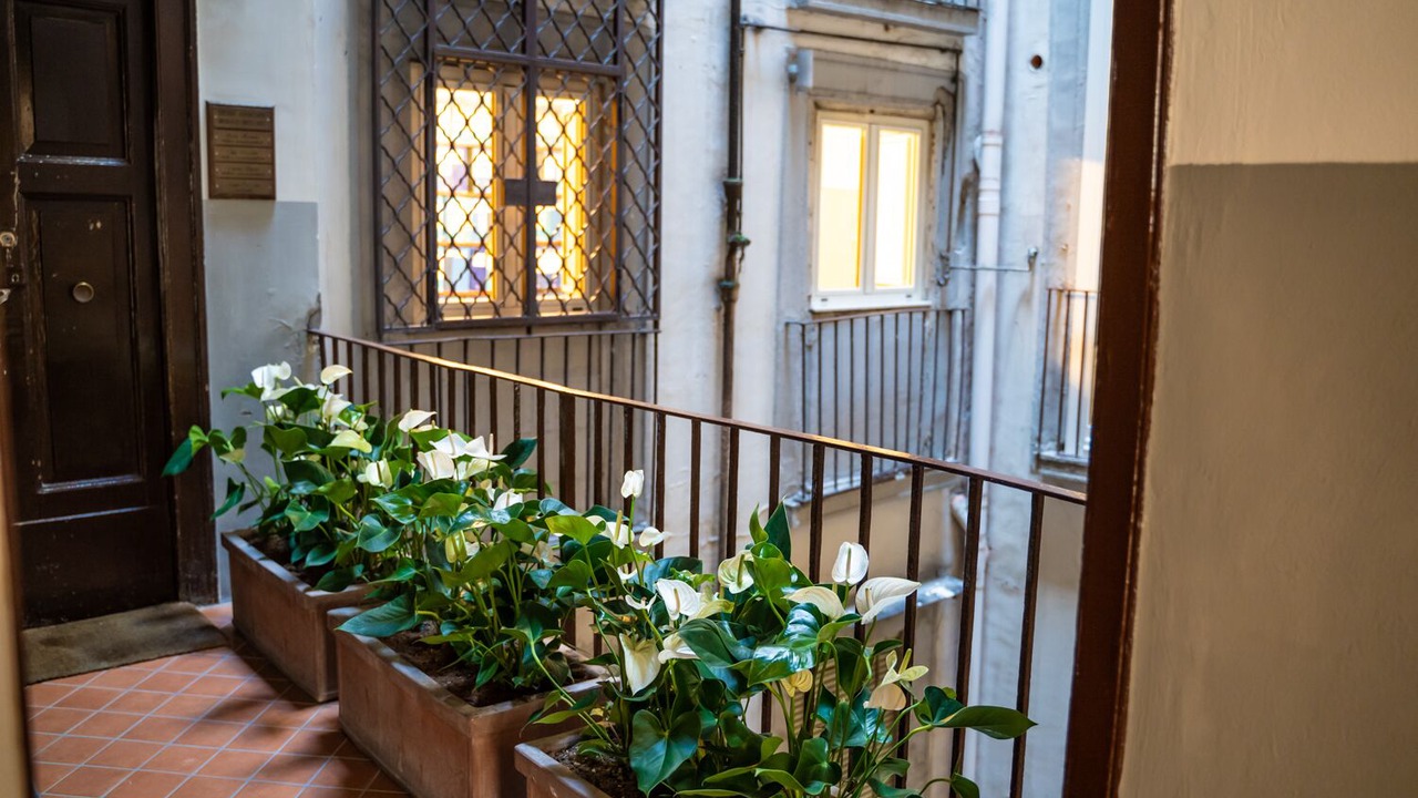 Photo of Others in Quartieri Spagnoli