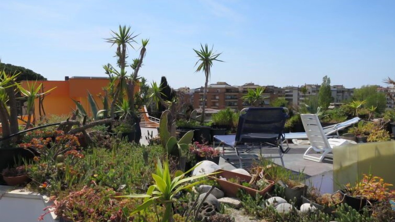Photo of Outdoor in Nettuno