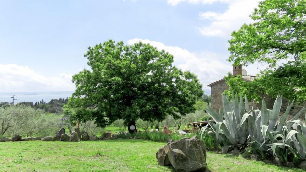 Photo of Outdoor in Bolsena