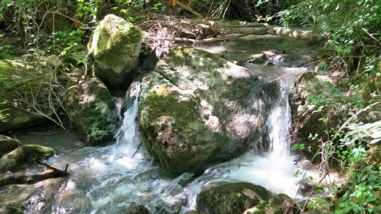 Photo of Outdoor in Arsita