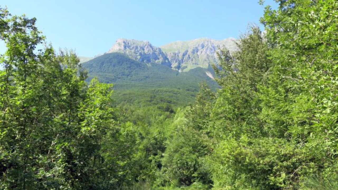 Photo of Outdoor in Arsita