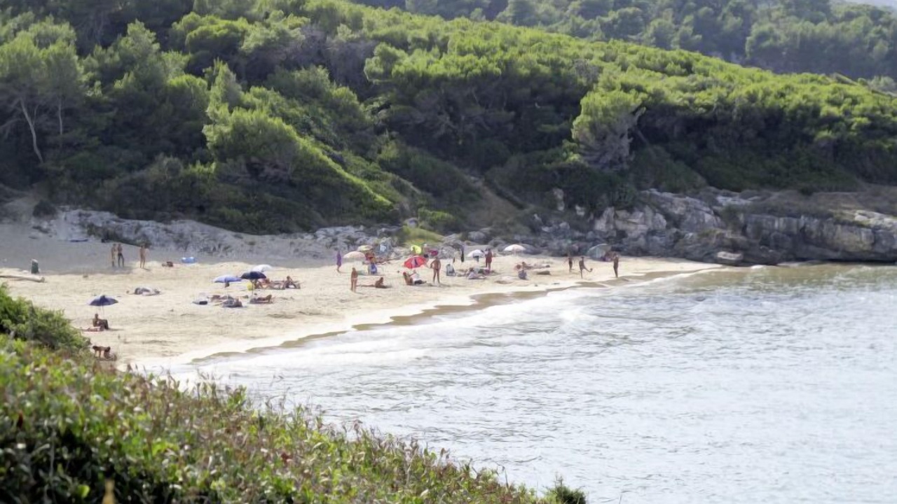 Photo of Others in Mandrione