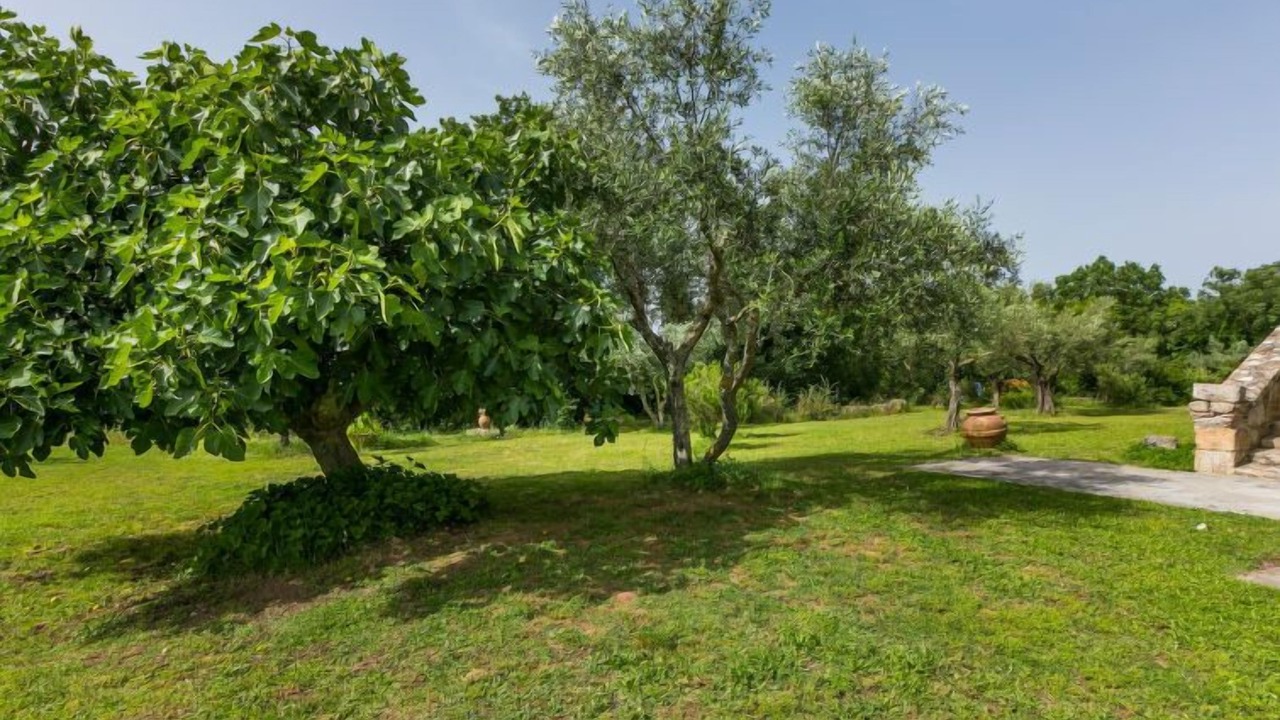 Photo of Others in Sorano