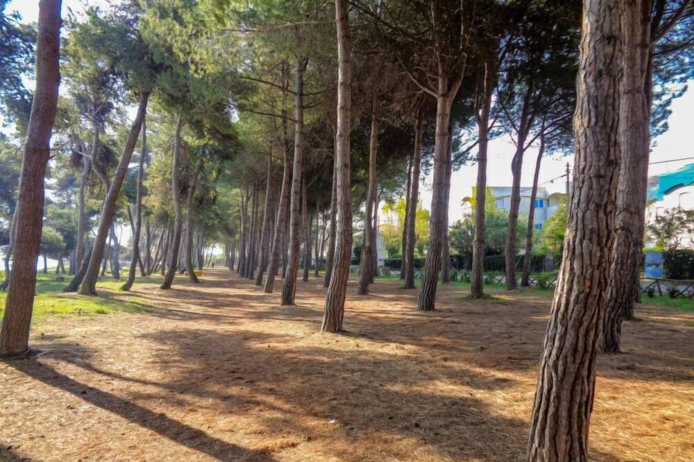Photo of Outdoor in Silvi