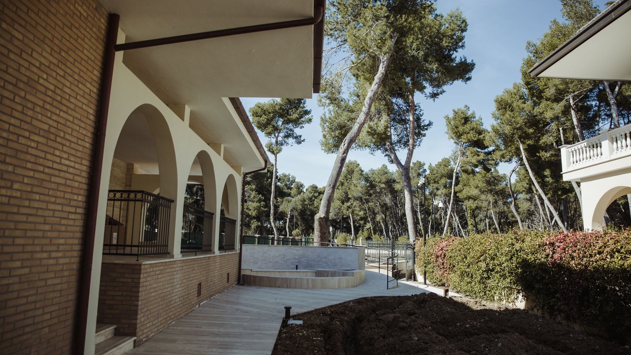 Photo of Outdoor in Pineta