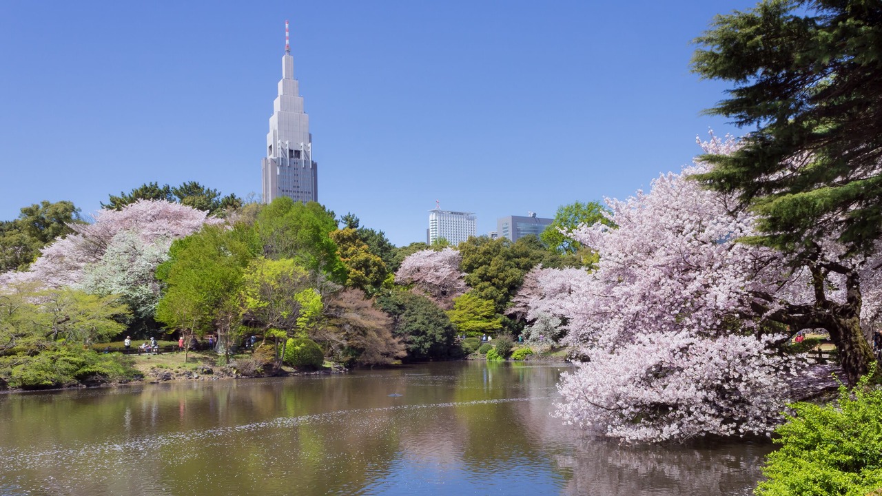 Photo of Others in Ueno