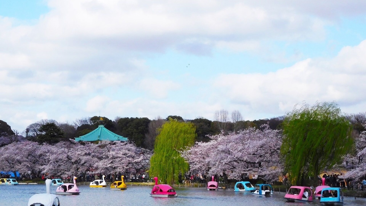 Photo of Others in Ueno