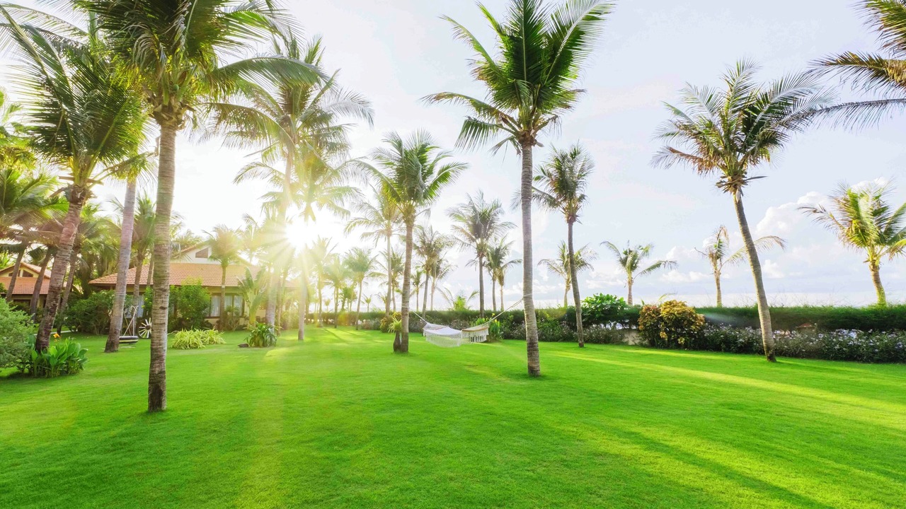 Photo of Outdoor in Central Mui Ne Beach
