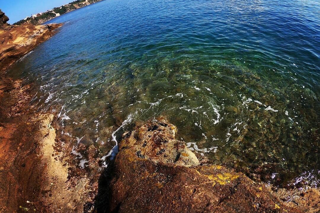 Photo of Others in Procida