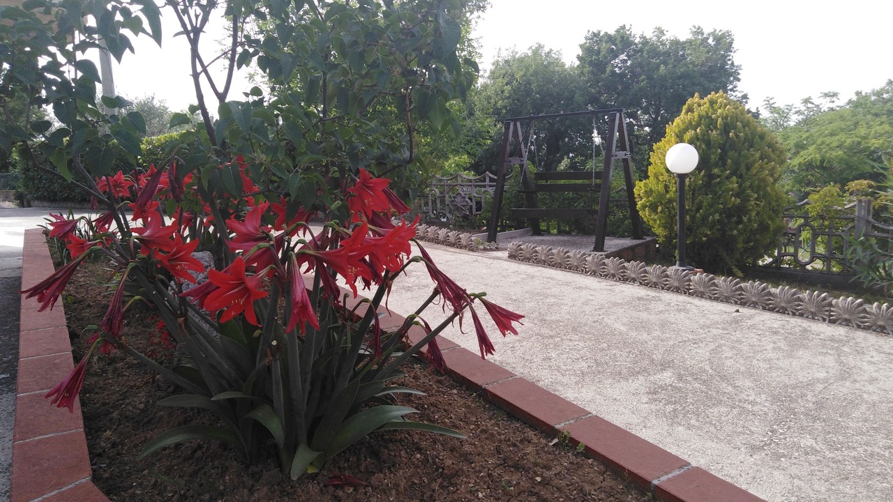 Photo of Outdoor in San Valentino In Abruzzo