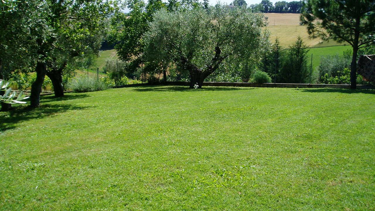 Photo of Others in Petriolo