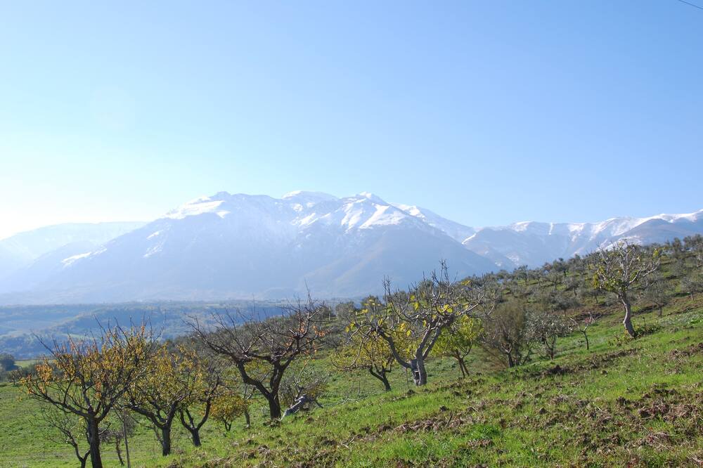Photo of Others in Casoli