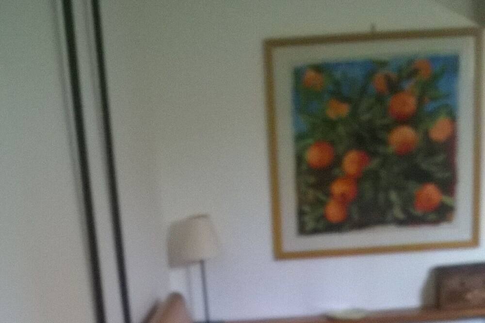Photo of Others in Priverno