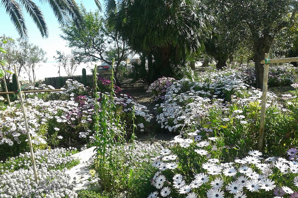 Photo of Outdoor in San Severo