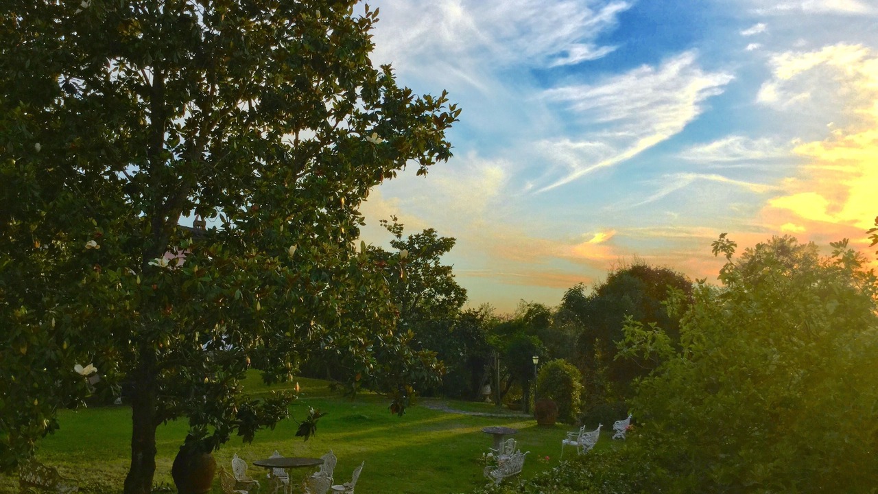 Photo of Outdoor in Poggio Catino