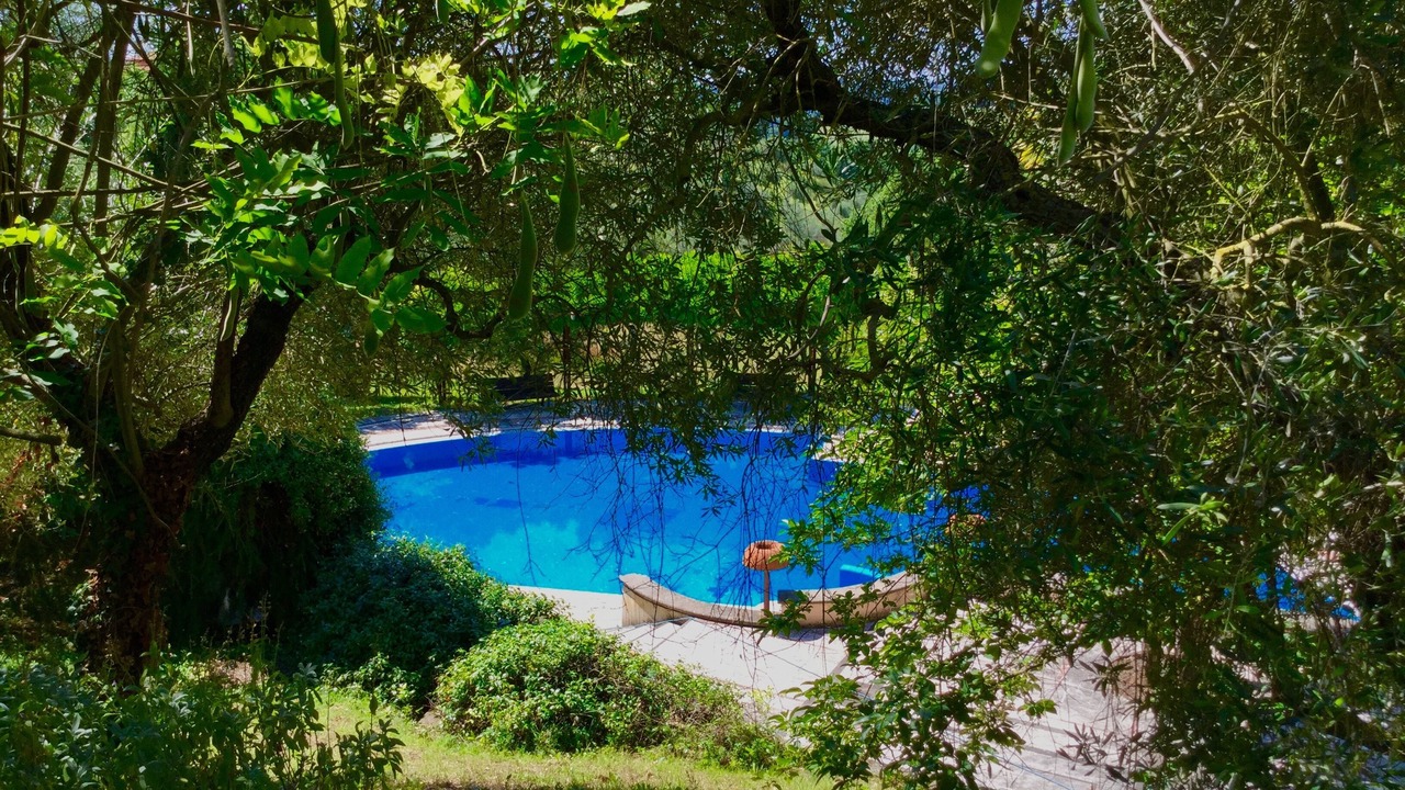 Photo of Outdoor in Poggio Catino