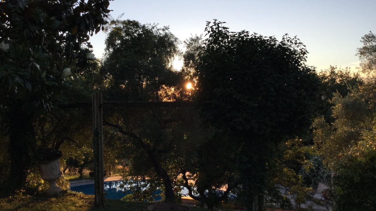 Photo of Outdoor in Poggio Catino