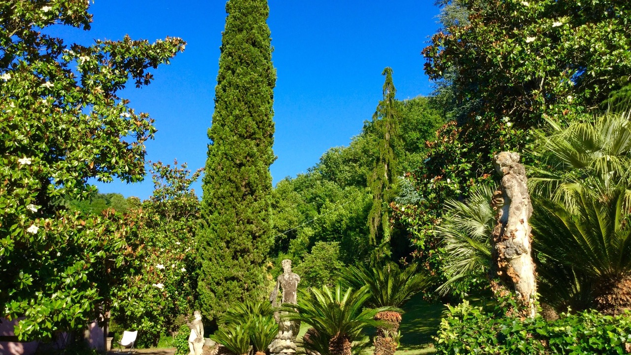 Photo of Outdoor in Poggio Catino