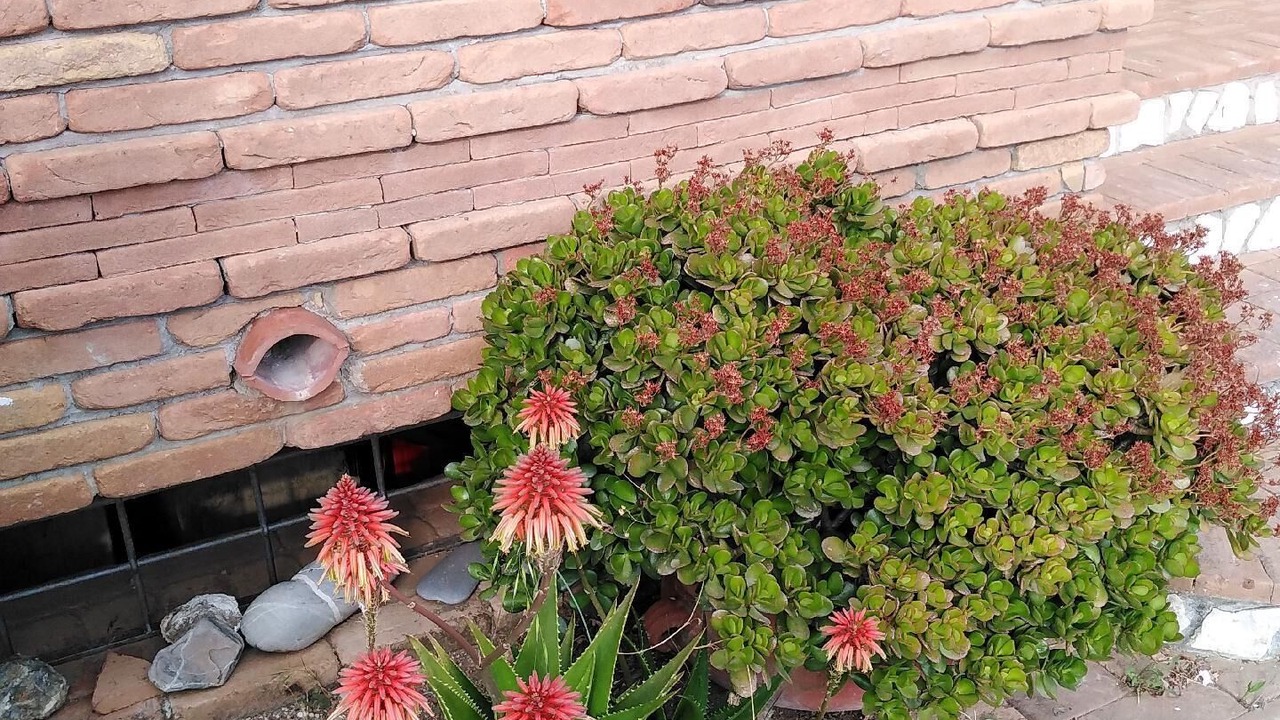 Photo of Outdoor in Pisciotta
