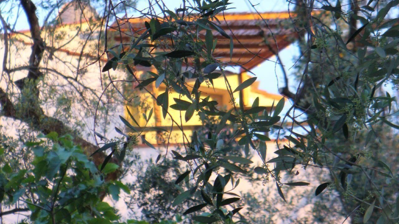 Photo of Outdoor in Marina di Pisciotta