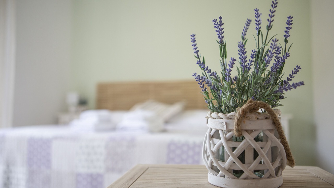 Photo of Bedroom in Albano Laziale