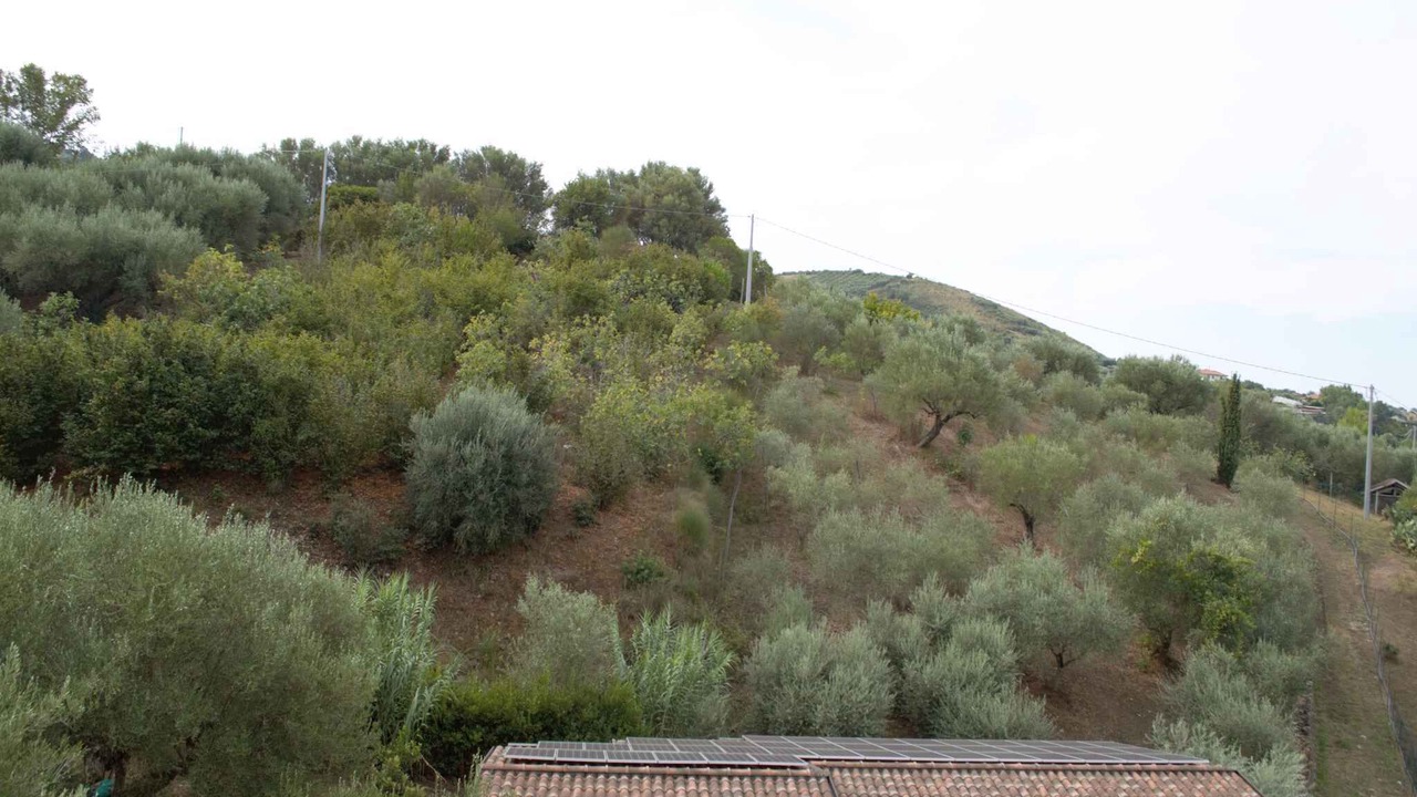 Photo of Outdoor in Ascea