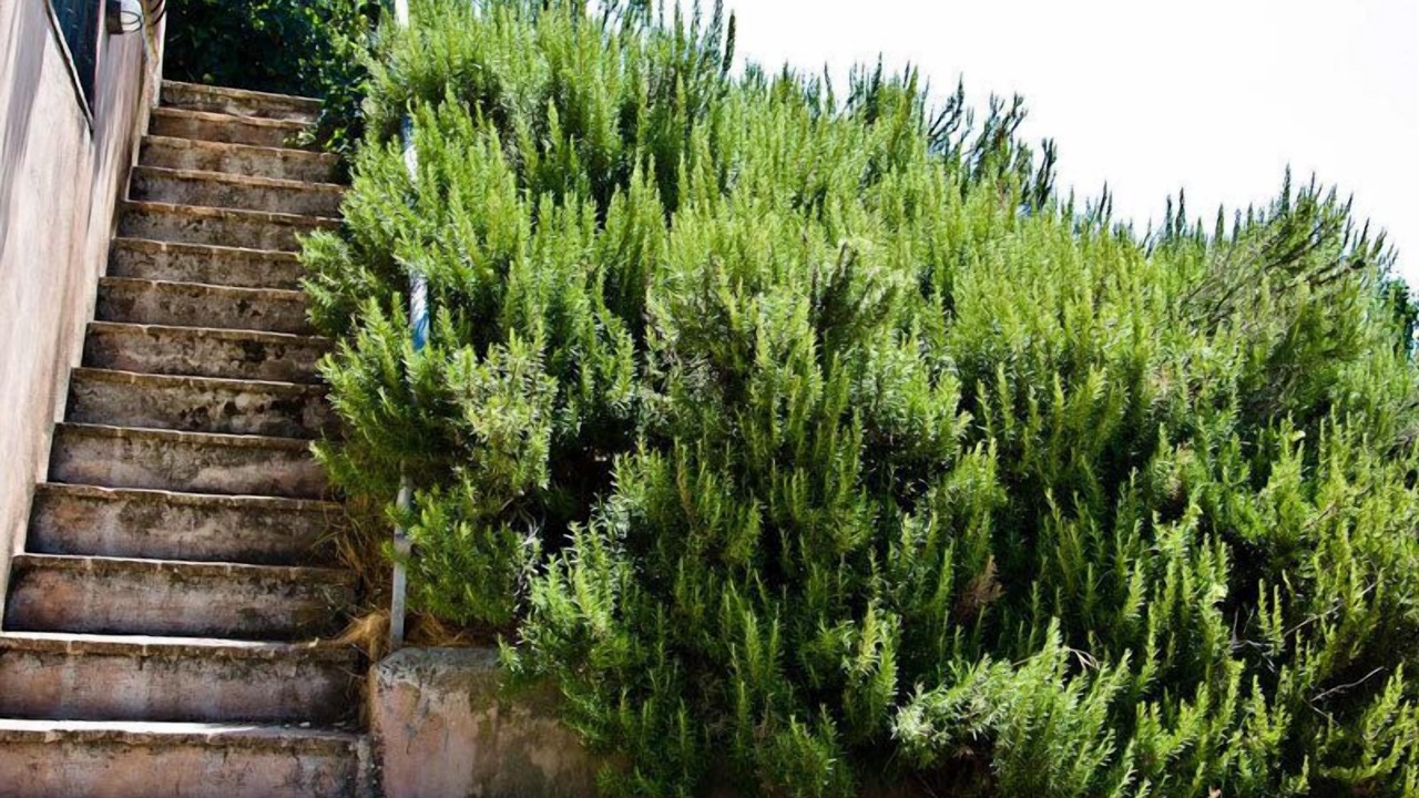 Photo of Outdoor in Poggio Mirteto