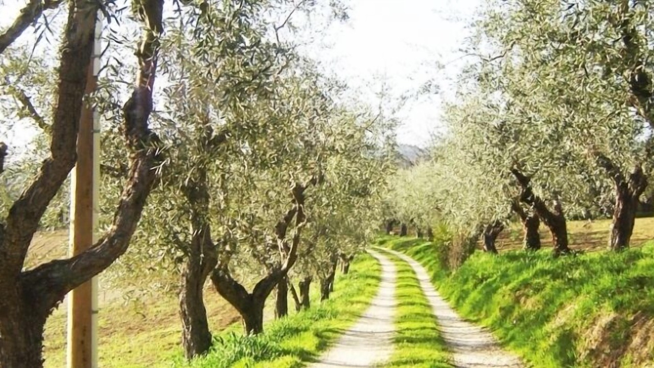 Photo of Outdoor in Poggio Mirteto