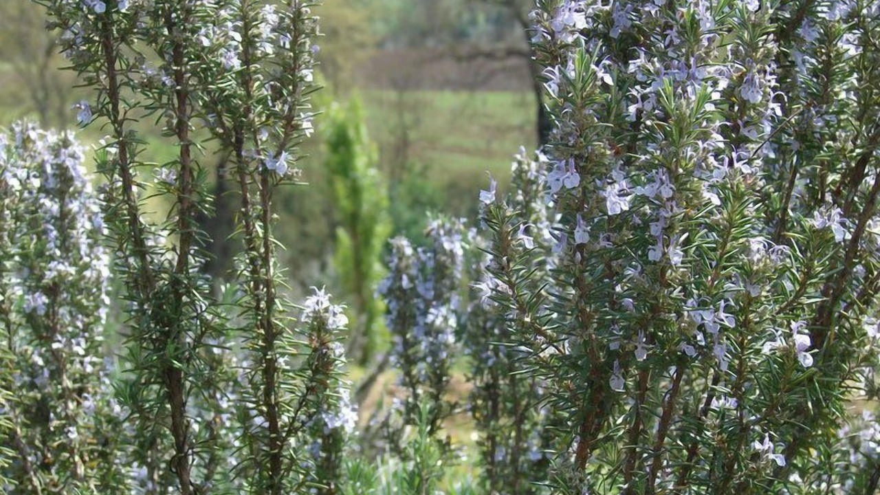 Photo of Outdoor in Poggio Mirteto