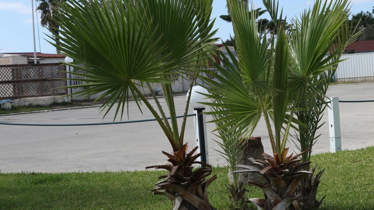 Photo of Outdoor in Margherita di Savoia