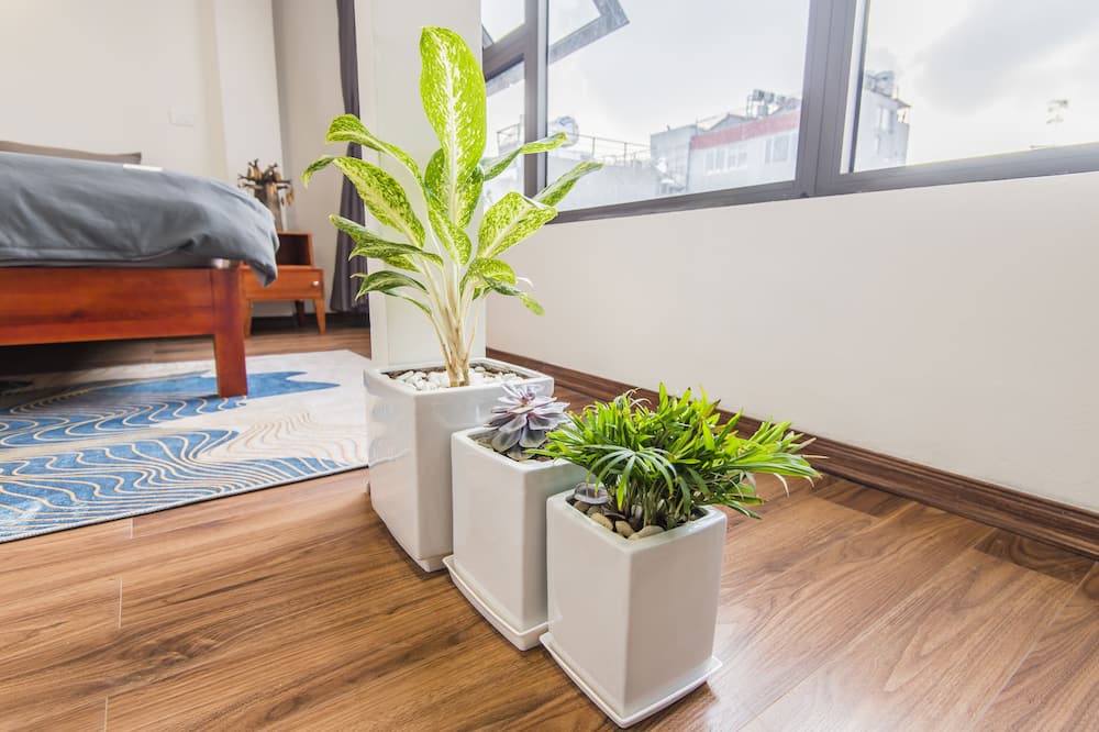 Photo of Bedroom in Hang Buom