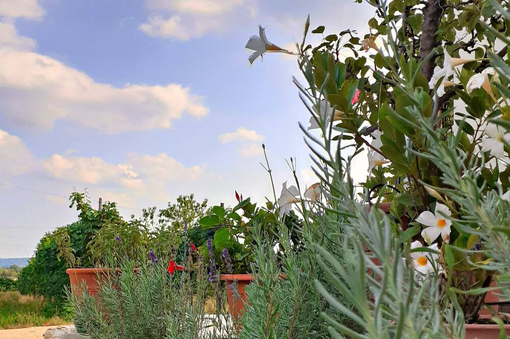 Photo of Outdoor in Farra di Soligo