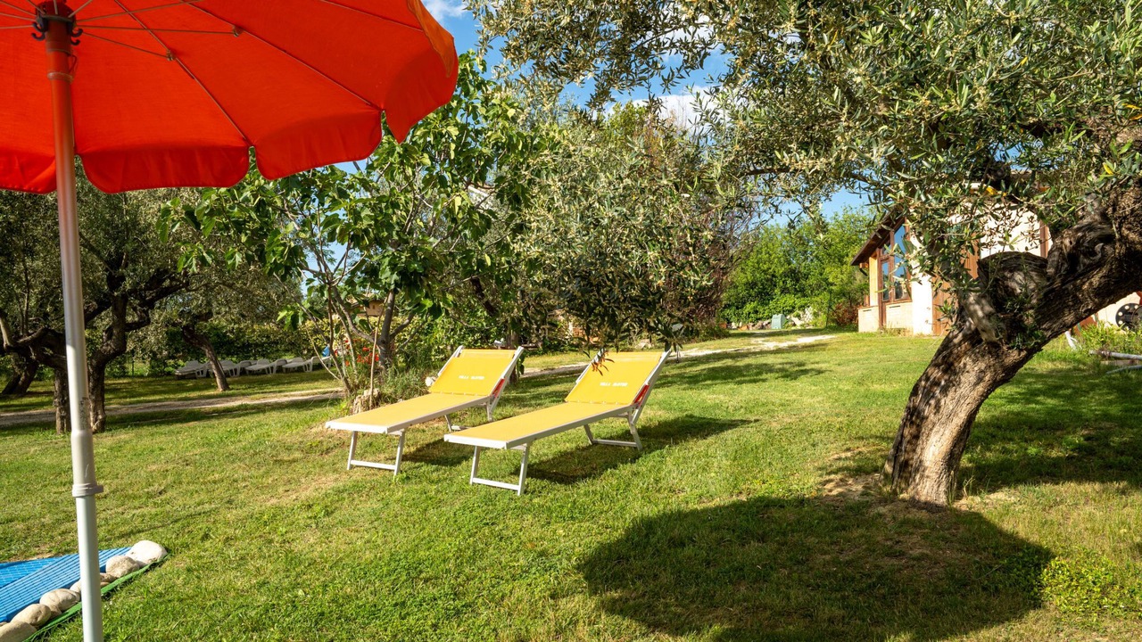 Photo of Outdoor in Collecorvino