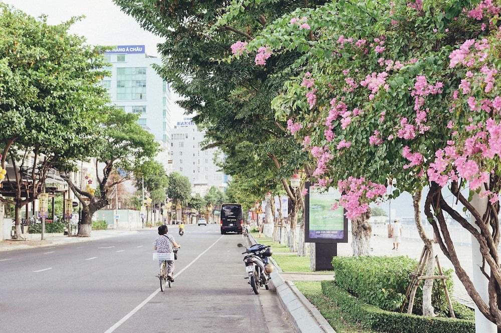 Photo of Outdoor in Thanh Khe