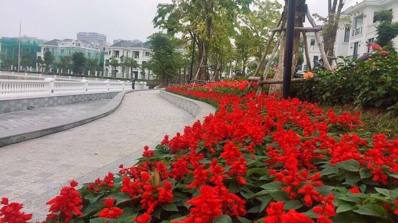 Photo of Outdoor in Trung Hoa Nhan Chinh