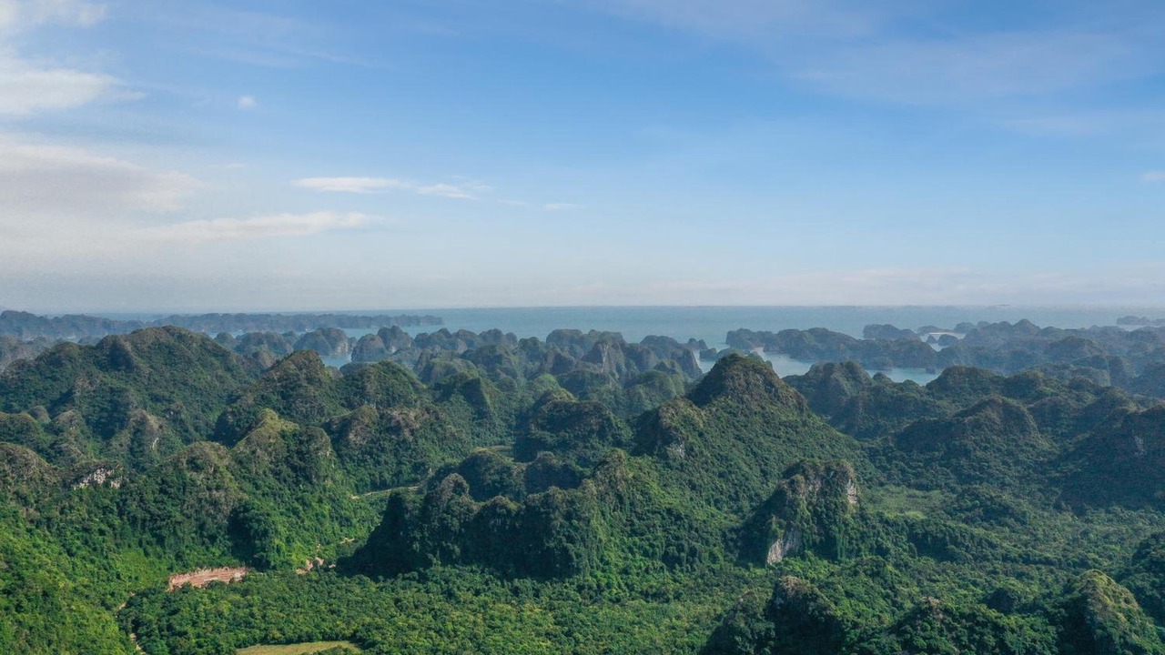 Photo of Outdoor in Cat Hai