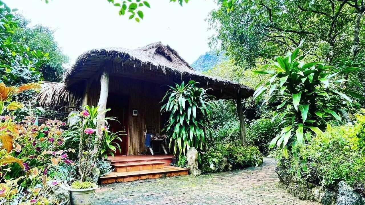 Photo of Outdoor in Cat Hai