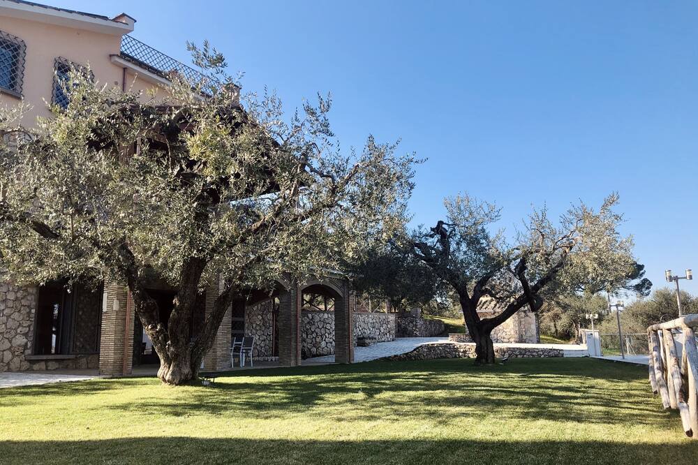 Photo of Outdoor in Palombara Sabina