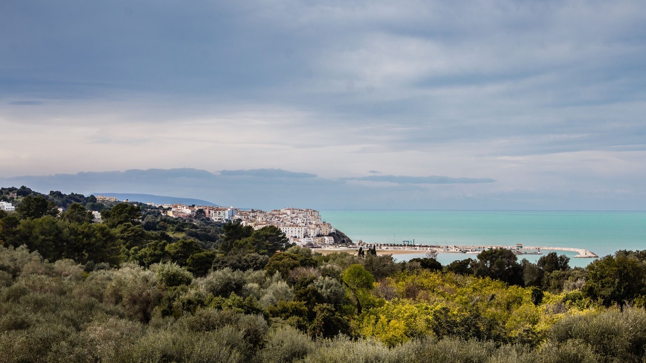 Photo of Others in Rodi Garganico