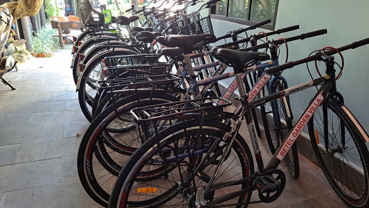 Photo of Outdoor in Cam Chau