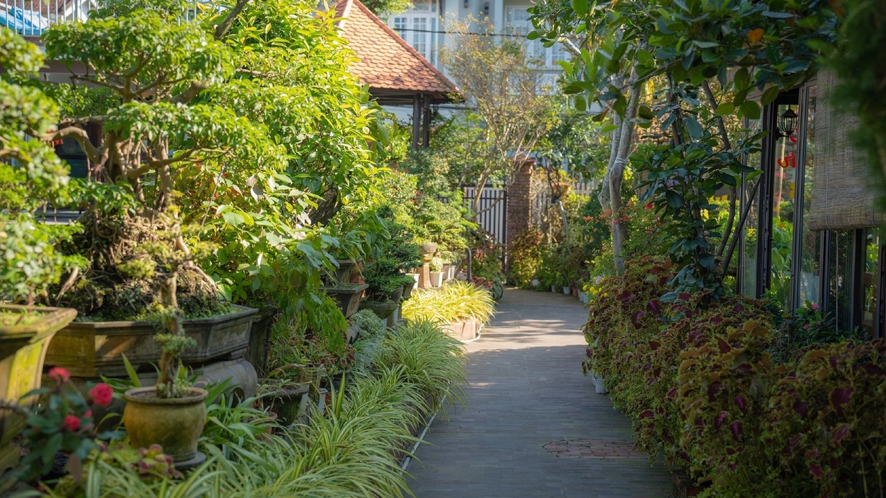 Photo of Outdoor in Cam Chau