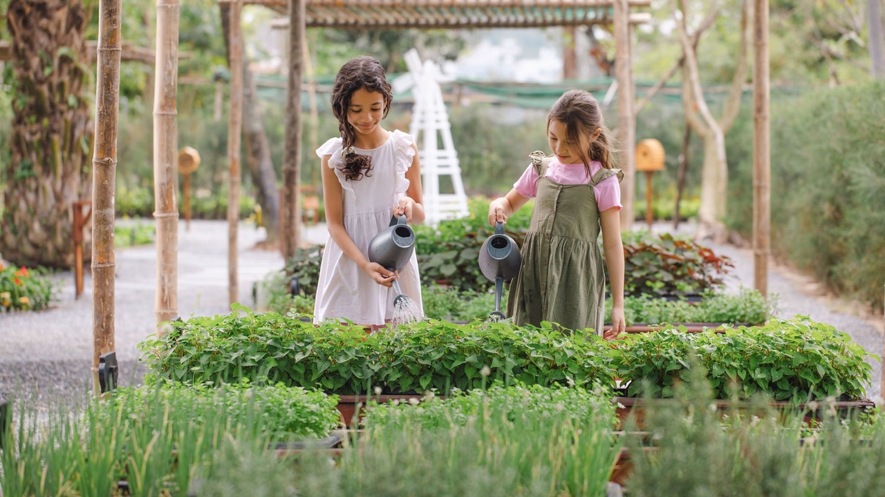 Photo of Others in Ngu Hanh Son