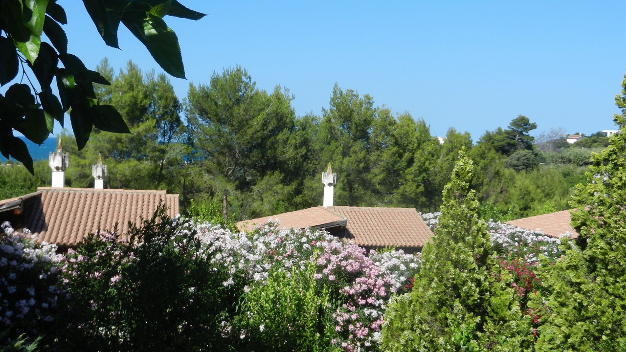 Photo of Outdoor in Rodi Garganico