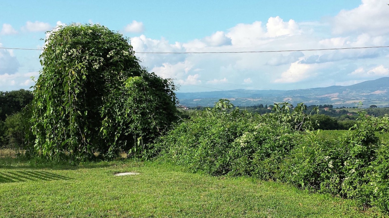 Photo of Outdoor in Graffignano