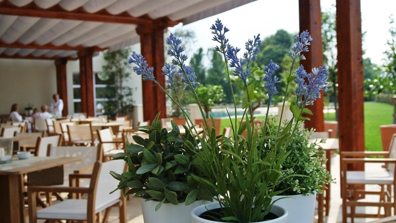 Photo of Others in Montegrotto Terme