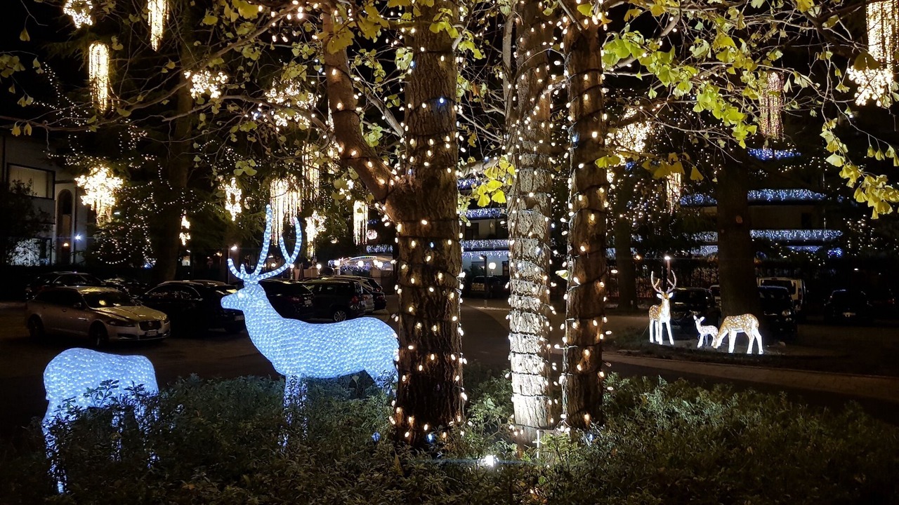 Photo of Outdoor in Montegrotto Terme