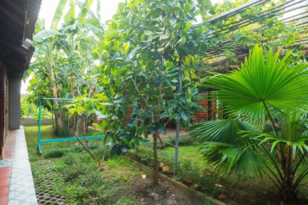 Photo of Outdoor in Ong Lang