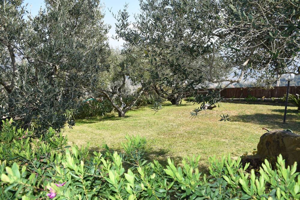 Photo of Outdoor in Castellabate